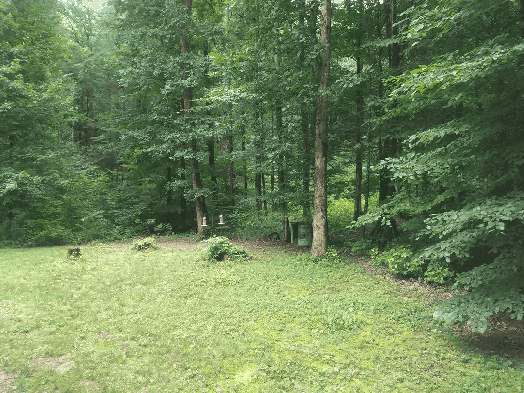 Backyard before pool